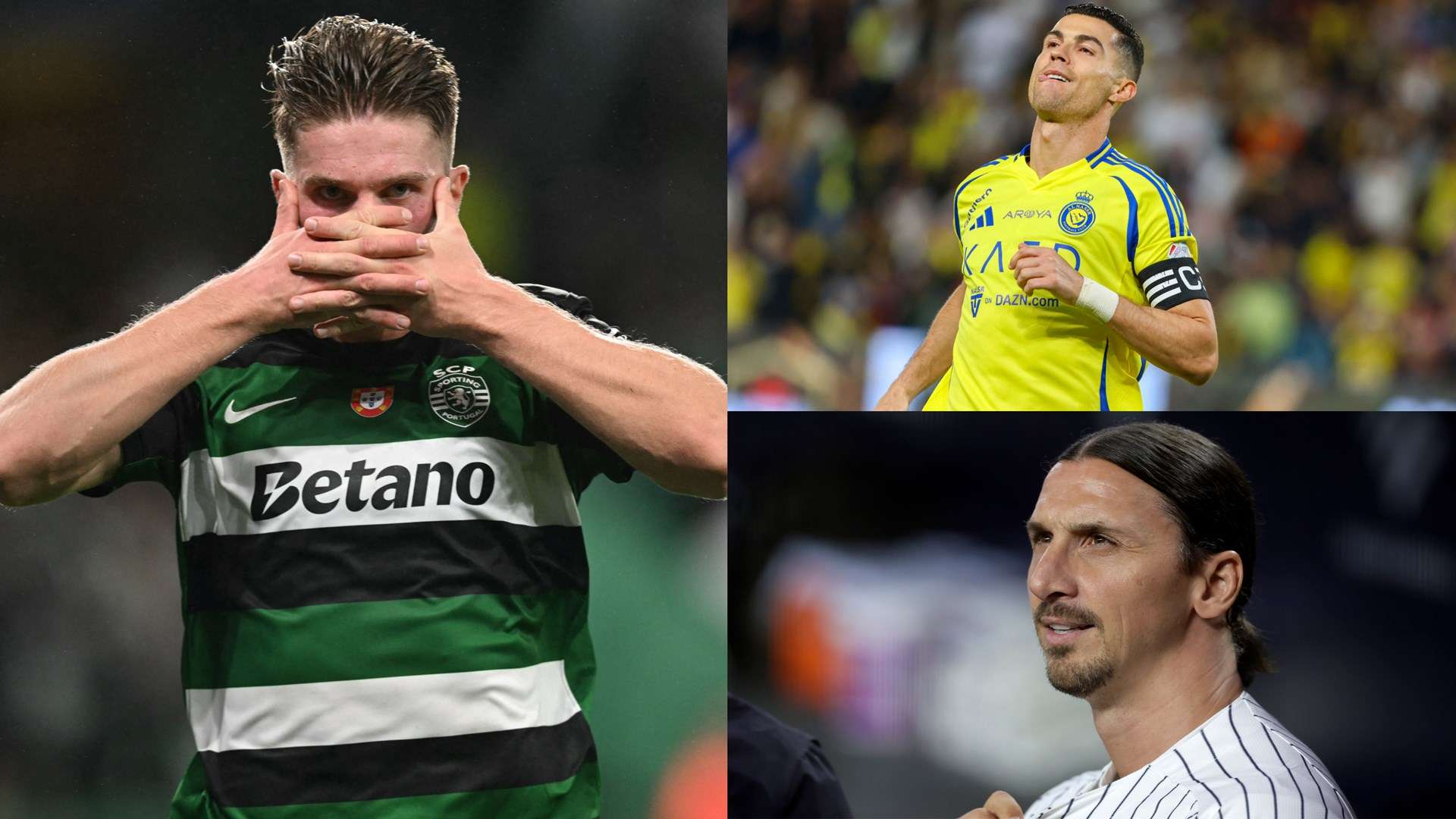 但近年来在 但近年来在